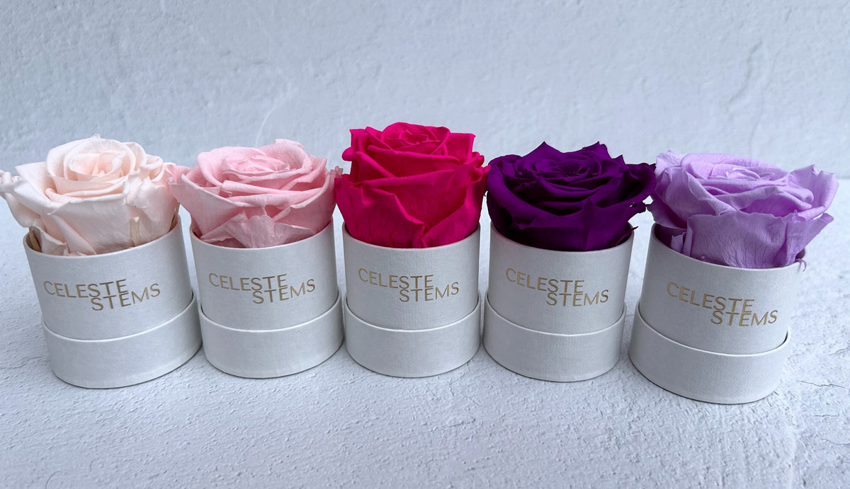 Infinity Linx Flower MINI Infinity in White Linen – CELESTE STEMS
